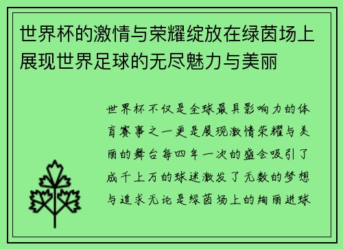 世界杯的激情与荣耀绽放在绿茵场上展现世界足球的无尽魅力与美丽