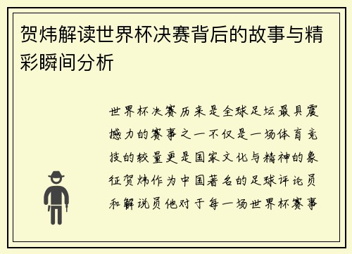 贺炜解读世界杯决赛背后的故事与精彩瞬间分析