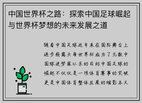 中国世界杯之路：探索中国足球崛起与世界杯梦想的未来发展之道